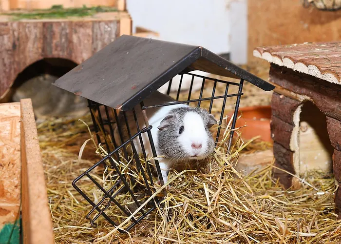 Muehlenblick Auf Dem Eschen * Moorweg