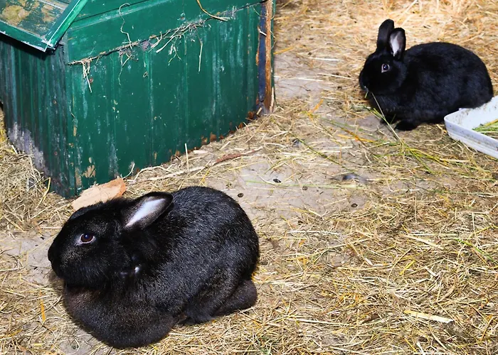 Muehlenblick Auf Dem Eschen 公寓 *