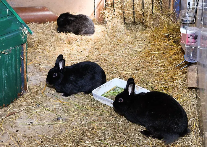 Muehlenblick Auf Dem Eschen 公寓 Moorweg